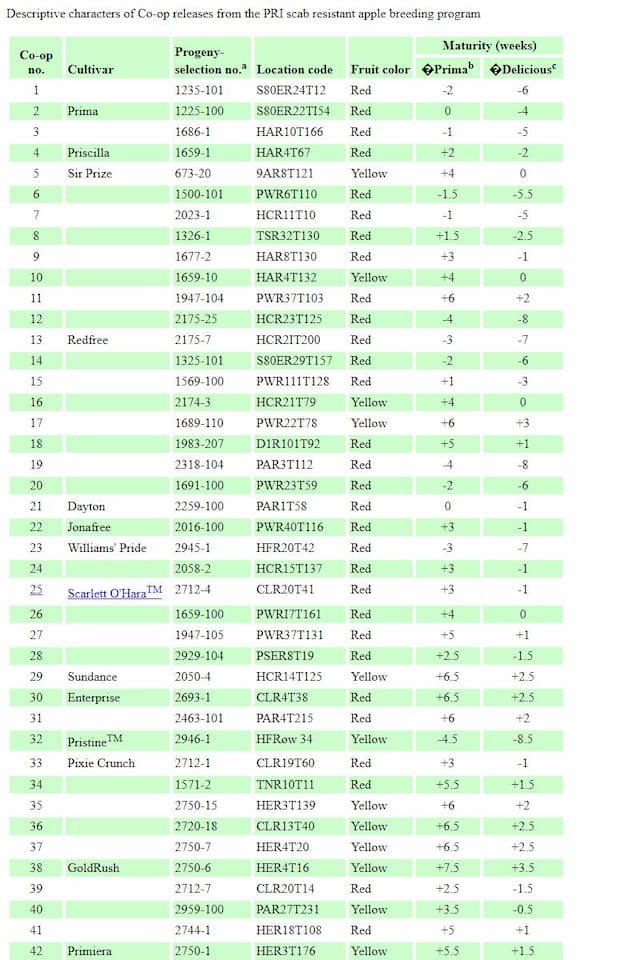 preview image for this reference