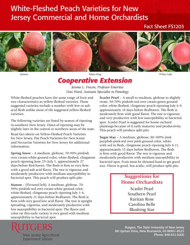 preview image for this reference