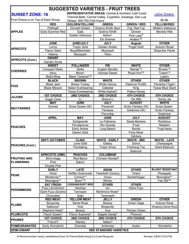 preview image for this reference