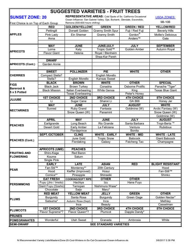 preview image for this reference