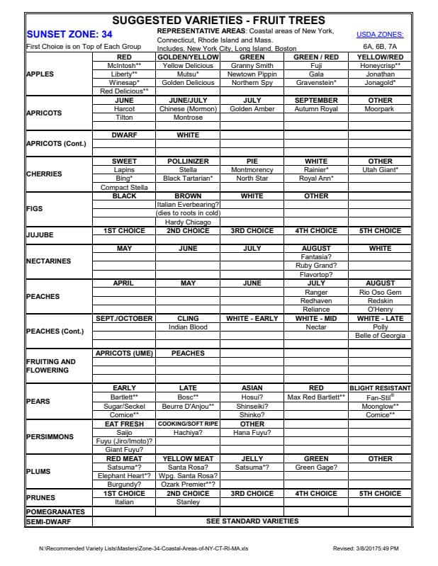 preview image for this reference